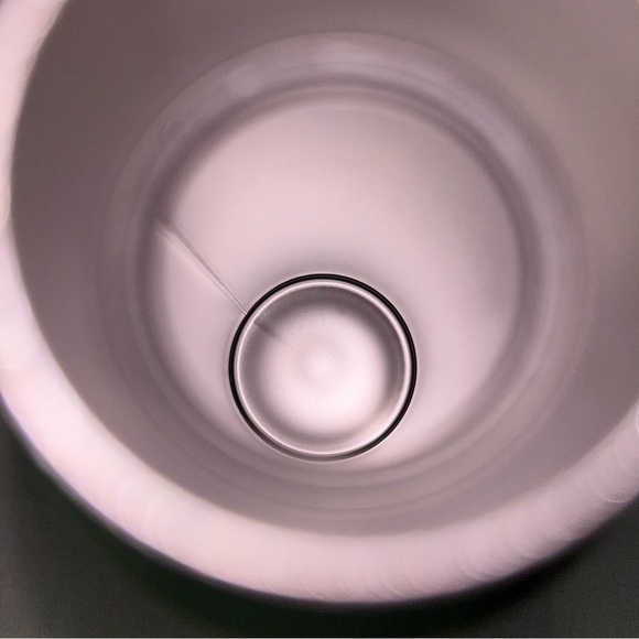 Room Essentials Target Bottle Double Wall Insulated Hot and Cold Drink Thermal - Picture 7 of 9